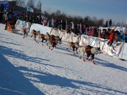 Koiravaljakkokisat 